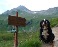 Edelhütte Mayrhofen Emmy