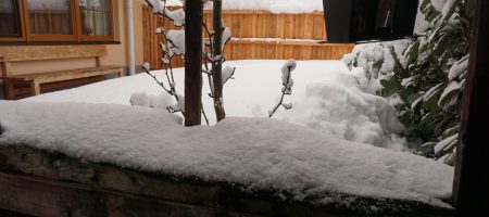 Angenehmer Urlaub mit Talabfahrt 49 213803834