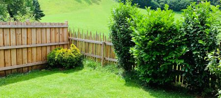 Angenehmer Urlaub mit Talabfahrt 22 67726883 2376477069294452 7051130157251166208 n